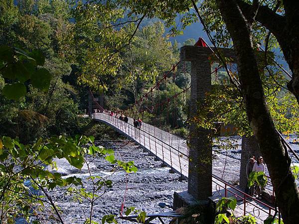 楓林吊橋