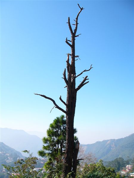 萬大水庫旁的平台