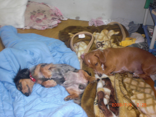 CIMG0554.JPG