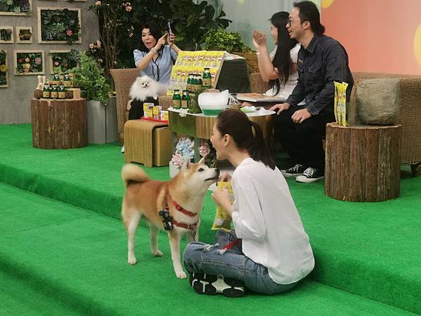 許博松愛犬家教班~~ 日滕寵物食品直播。