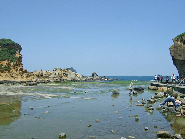 018海水退了,發現景色變得好綠喔@@~海草跟青苔都冒出來嚕.JPG