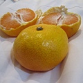 韓國橘子