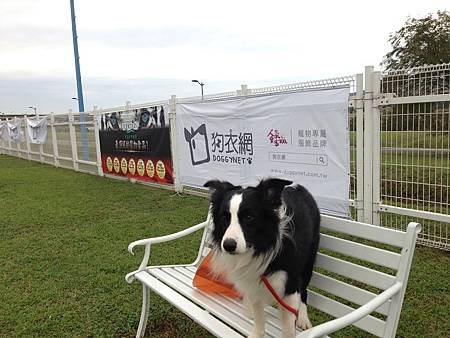 2014寵物運動嘉年華（迎風公園）