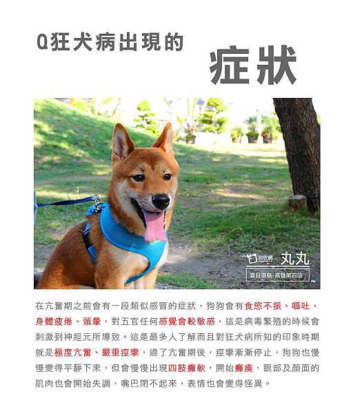 狂犬病症狀