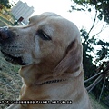 20090801-010.jpg