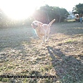 20090801-005.jpg