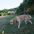 20090801-007.jpg