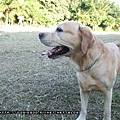 20090801-008.jpg