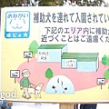 20110315-japanaid.jpg