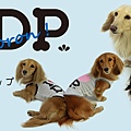 Dog Peace l LOVE DP防蚊蟲抗曬T恤