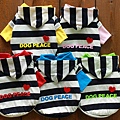 Dog Peace 亮彩條紋連帽T恤