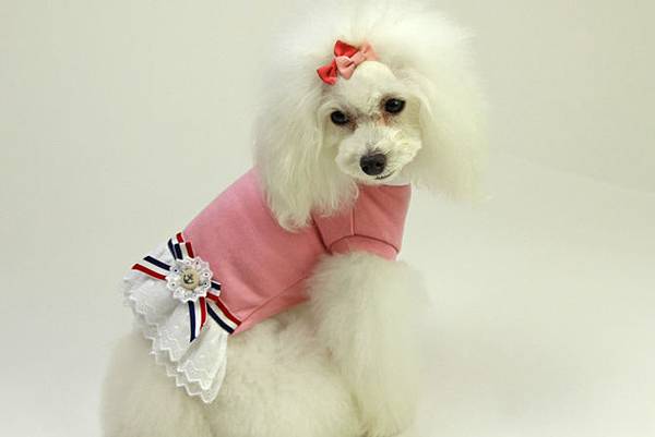 Dog Peace 法國風三色緞飾小洋裝