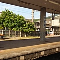 IMG_20150729_164521.jpg