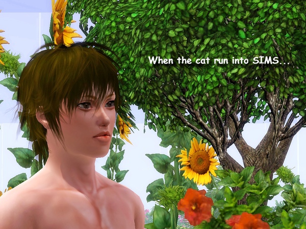 Screenshot-441.jpg Screenshot-441.jpg