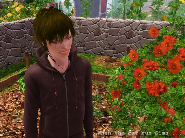 Screenshot-443.jpg Screenshot-443.jpg