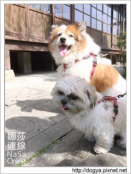 逸仙公園_台北_一日遊_近郊_中山區__遛狗_娜莎連線_72