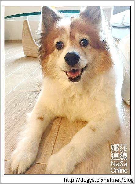 2015-01-03 07.03.44-1 2015-01-03 07.03.44-1