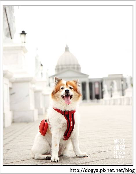 IMG_9530.JPG IMG_9530.JPG