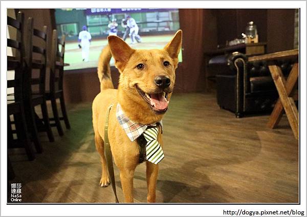 娜莎連線手工寵物零食舖_桃園_寵物友善餐廳_Mumu小倫敦18.jpg