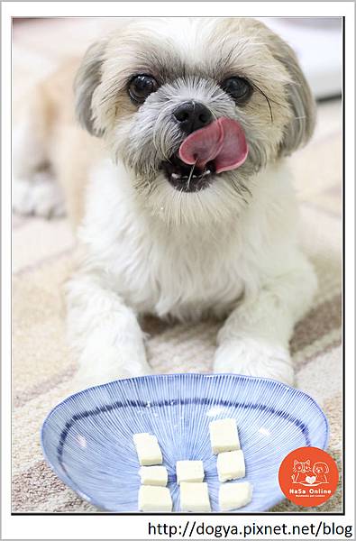 nEO_IMG_自製手工寵物零食DIY_茅屋起司_狗狗_寵物_點心手作_檸檬_娜莎連線手工寵物零食舖0023.jpg nEO_IMG_自製手工寵物零食DIY_茅屋起司_狗狗_寵物_點心手作_檸檬_娜莎連線手工寵物零食舖0023.jpg