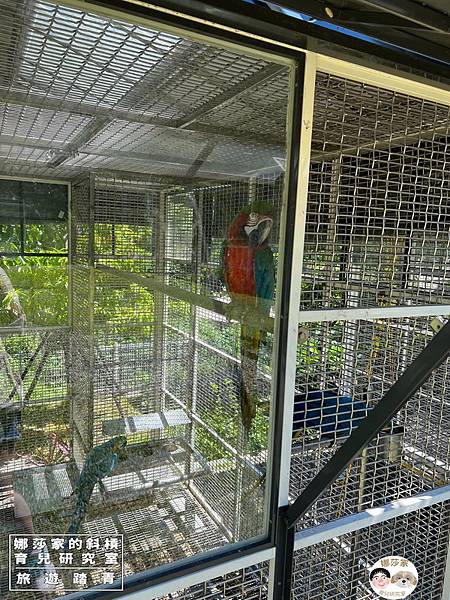 娜莎家的斜槓育兒研究室_旅遊踏青_桃園大溪親子農場》蘇家莊園~親子農莊、免門票免費停車、動物農場,蘇家莊園,親子農場,桃園,桃園大溪,大溪,農場,動物農場,免門票,免費停車,動物農莊,牧場,聚餐,親子,熱門,免費,觀光,旅遊,大溪旅遊,桃園旅遊,桃園農場60.jpg