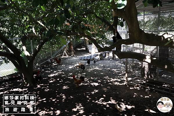 娜莎家的斜槓育兒研究室_旅遊踏青_桃園大溪親子農場》蘇家莊園~親子農莊、免門票免費停車、動物農場,蘇家莊園,親子農場,桃園,桃園大溪,大溪,農場,動物農場,免門票,免費停車,動物農莊,牧場,聚餐,親子,熱門,免費,觀光,旅遊,大溪旅遊,桃園旅遊,桃園農場105.jpg