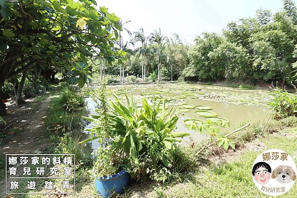 娜莎家的斜槓育兒研究室_旅遊踏青_桃園觀音親子農場》三奇蜜蜂生態農園~親子農莊、免門票免費停車、養蜂場~三奇蜜蜂生態農園,親子農場,桃園,桃園觀音,觀音,農場,生態農園,免門票,免費停車,生態農場,養蜂場,三奇養蜂場,親子,熱門,免費,觀光,旅遊,觀音旅遊,桃園旅遊,桃園農場20.jpg