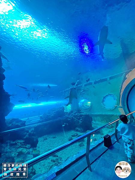 娜莎家的斜槓育兒研究室_旅遊踏青_屏東親子旅遊》國立海洋生物博物館-來看好多魚、魟魚、鯊魚、海豹、企鵝、還有好多的海洋動物~國立海洋生物博物館,海生館,屏東,屏東海生館,博物館,企鵝,魚,海豹,水母,魟魚,鯊魚,免費停車,屏東海生,旅遊,觀光,親子室內景點,親子旅遊,雨備方案,親子123.jpg