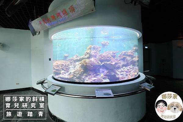 娜莎家的斜槓育兒研究室_旅遊踏青_屏東親子旅遊》國立海洋生物博物館-來看好多魚、魟魚、鯊魚、海豹、企鵝、還有好多的海洋動物~國立海洋生物博物館,海生館,屏東,屏東海生館,博物館,企鵝,魚,海豹,水母,魟魚,鯊魚,免費停車,屏東海生,旅遊,觀光,親子室內景點,親子旅遊,雨備方案,親子140.jpg