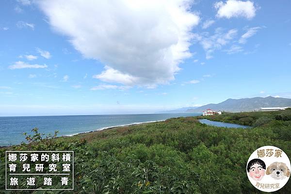 娜莎家的斜槓育兒研究室_旅遊踏青_屏東親子旅遊》國立海洋生物博物館-來看好多魚、魟魚、鯊魚、海豹、企鵝、還有好多的海洋動物~國立海洋生物博物館,海生館,屏東,屏東海生館,博物館,企鵝,魚,海豹,水母,魟魚,鯊魚,免費停車,屏東海生,旅遊,觀光,親子室內景點,親子旅遊,雨備方案,親子161.jpg