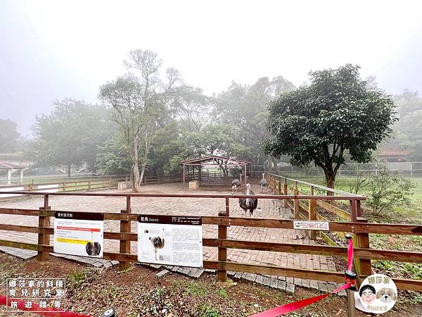 娜莎家的斜槓育兒研究室_旅遊踏青_桃園親子旅遊》埔心牧場~擠牛奶、餵動物、羊駝、袋鼠、烤肉、野餐~埔心牧場,埔心,牧場,農場,桃園旅遊,桃園,楊梅旅遊,親子旅遊,寵物友善,牛奶,牛,羊,親子農場,親子寵物,親子牧場,親子農場,露營,爬蟲,門票,動物125.jpg