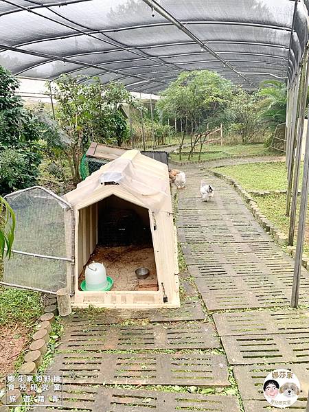 娜莎家的斜槓育兒研究室_旅遊踏青_桃園親子旅遊》埔心牧場~擠牛奶、餵動物、羊駝、袋鼠、烤肉、野餐~埔心牧場,埔心,牧場,農場,桃園旅遊,桃園,楊梅旅遊,親子旅遊,寵物友善,牛奶,牛,羊,親子農場,親子寵物,親子牧場,親子農場,露營,爬蟲,門票,動物147.jpg