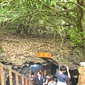 IMG_4035.JPG