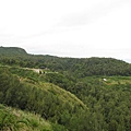 IMG_4051.JPG