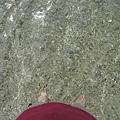 IMG_4084.JPG