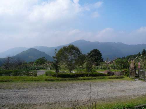 018 東眼山.JPG