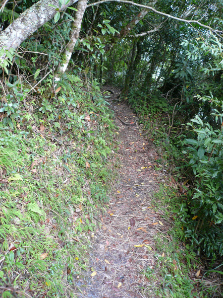 D1 068 神秘谷入口陡坡.JPG