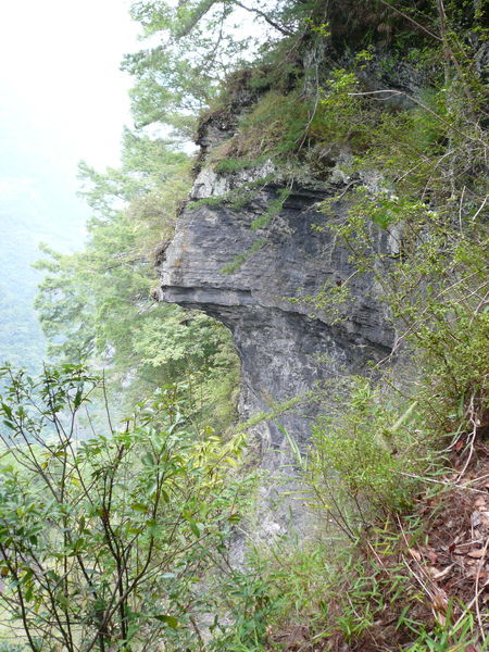 D1 079 烏鴉石.JPG
