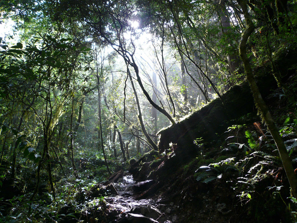 D2 034 經典原始味.JPG