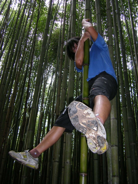 D2 055 回程竹林 歐蕾.JPG