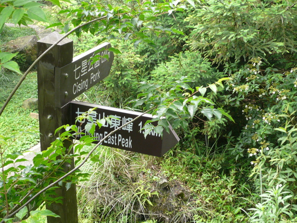 P1050209.JPG