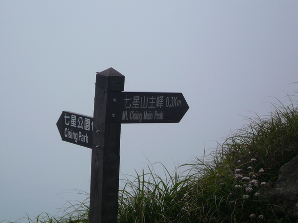 P1050229.JPG