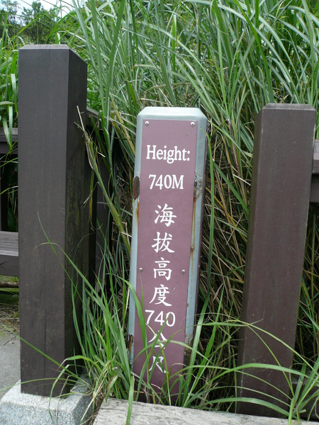 冷水坑起點h740m.JPG