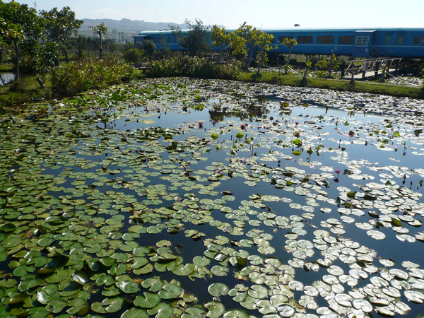 D1-04-13 石蓮園 鐵路餐廳.JPG