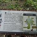 D1-1-026 馬拉邦山(日軍軍營遺址~~).jpg