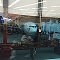 DSC_4507.jpg