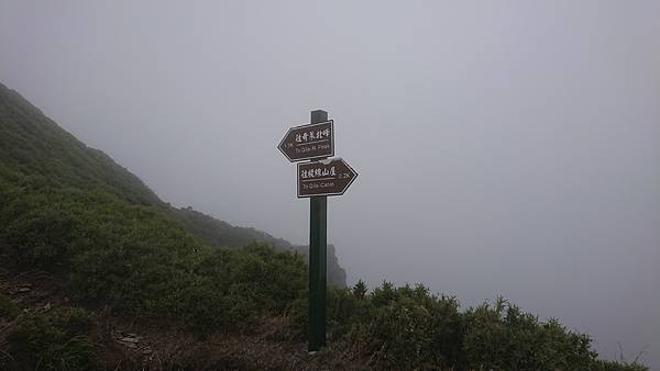 DSC_0168.JPG