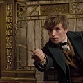 newt scamander.jpg