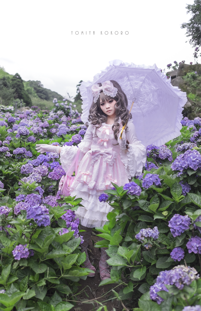 DSCF2498 DSCF2498