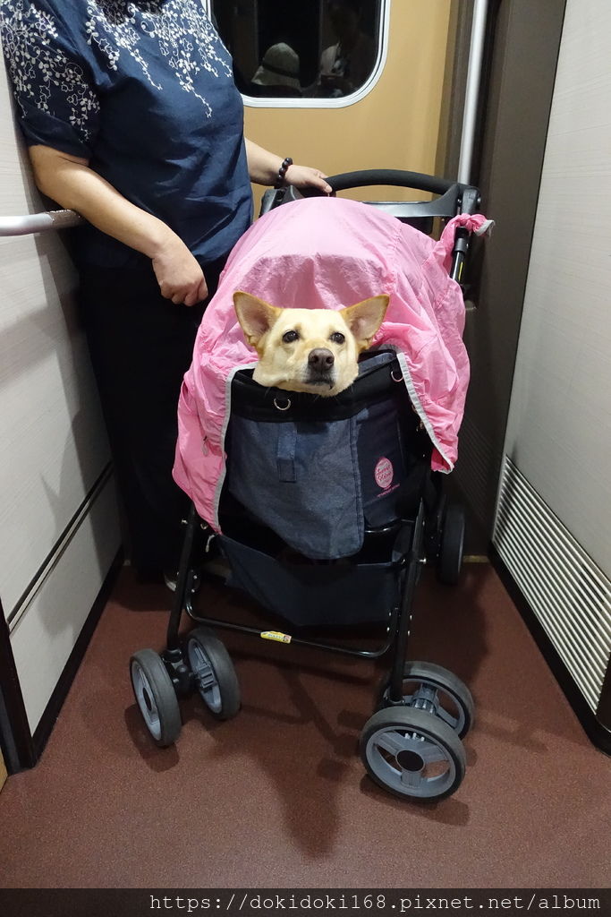 可成出國趣 帶狗去日本在日本租台寵物推車全教學 E I 食遊趣 痞客邦